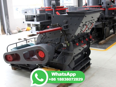 Coal Processing Equipment Hammer Mill Crusher Manufacturer from Delhi